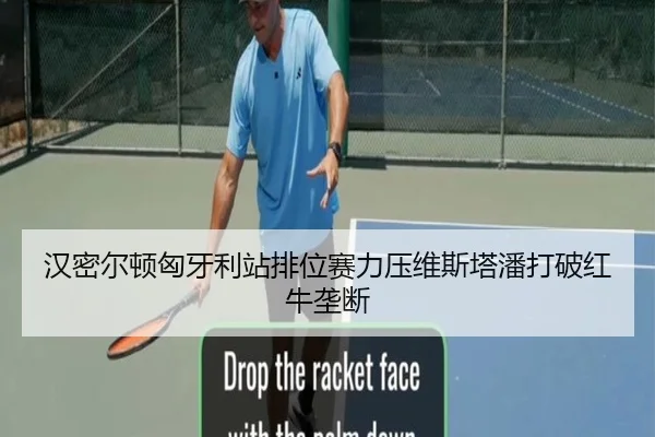 汉密尔顿匈牙利站排位赛力压维斯塔潘打破红牛垄断